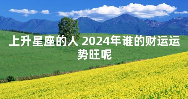 上升星座的人 2024年谁的财运运势旺呢